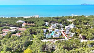 imgi 21 dji 20240404034847 0171 d