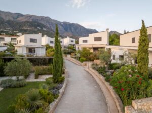 87ef 6521 f38a 48a6 977a sc1