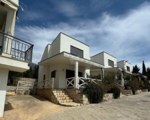 whatsapp image 2025 08 18 at 12.27.48 (1)