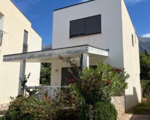 whatsapp image 2025 08 18 at 12.27.48